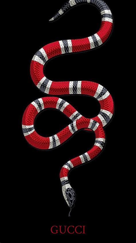 gucci snake|Gucci snake collection.